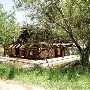 Shambala