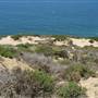 Point Dume Bluffs / Headlands / Big Dume Beach and Pirates Cove Beach @ Point Dume State Preserve - CFC