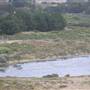 San Gregorio State Beach (SB)