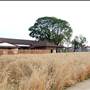 Pio Pico State Historic Park (SHP)