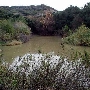Topanga State Park (SP)