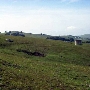 Tresch Dairy