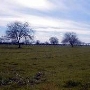 Chico State Paul L. Byrne Memorial University Farm - Agricultural Teaching & Research Center