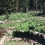 Big Rattlesnake Creek