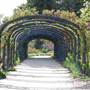 Descanso Gardens