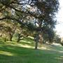 Ventura Farms