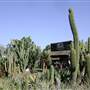 California Nursery Specialties - Cactus Ranch
