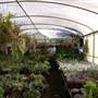 California Nursery Specialties - Cactus Ranch