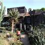 California Nursery Specialties - Cactus Ranch