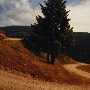 Bair Road - Off HWY 299