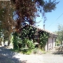 Blue Rock Vineyard