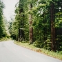 Freshwater Road