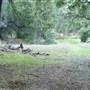 Chumash Indian Museum