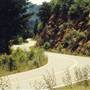 Gilman Road