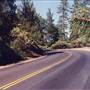 Jones Valley Rd. Shasta
