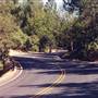 Jones Valley Rd. Shasta