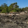 Carpinteria State Beach (SB)