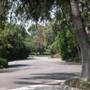 Chapman Woods Neighborhood Streets