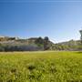 Golden Oak Ranch - Natural Area