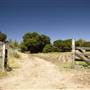 Golden Oak Ranch - Natural Area