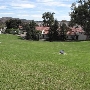 California State Polytechnic University, Pomona - Cal Poly Pomona