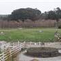 Harley Farms