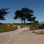 Carpinteria State Beach (SB)