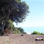 El Capitan State Beach (SB)