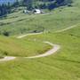 Mattole Road (3)