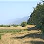 Prairie Creek Redwoods State Park (SP) within the Redwood National and State Parks