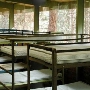 Camp Hollywoodland