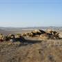 Upland Game Hunting Area - California Department of Fish and Wildlife (CDFW)