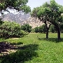 Canebrake Ecological Reserve - California Department of Fish and Wildlife (CDFW)