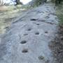Palomar Mountain State Park (SP)