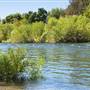 Turlock Lake State Recreation Area (SRA)