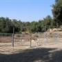 Bogart Regional Park