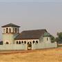 Anselmo Vineyard