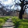 Bidwell-Sacramento River State Park (SP)