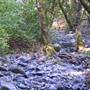 Bothe-Napa Valley State Park (SP)