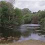Caswell Memorial State Park (SP)