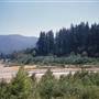 Humboldt Redwoods State Park (SP)