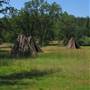 Indian Grinding Rock State Historic Park (SHP)