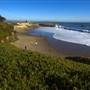 Lighthouse Field State Beach (SB)