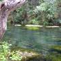 McArthur-Burney Falls Memorial State Park (SP)