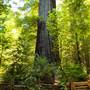 Standish-Hickey State Recreation Area (SRA)