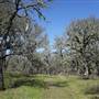 Anderson Marsh State Historic Park (SHP)