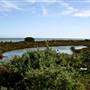 Candlestick Point State Recreation Area (SRA)