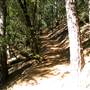 Castle Crags State Park (SP)