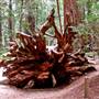 Hendy Woods State Park (SP)