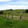 Petaluma Adobe State Historic Park (SHP)